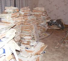 Gravat dans le salon