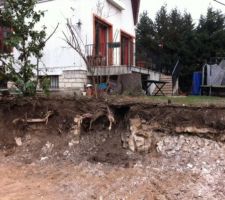 L'ancien puits, sous les racines du cèdre qui a été coupé en novembre ...