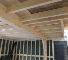 Les section de lamelé collé sont assez consequante les solives c'est du 20/8 pour infos !