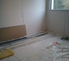 Chambre puce 08/02/2012