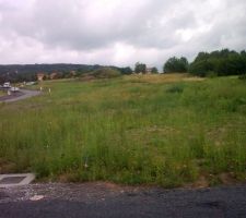 Voici le terrain d&eacute;but juillet 2009, depuis le temps (et avec la magnifique m&eacute;t&eacute;o de la moselle-est), plein de salade a pouss&eacute; dessus.