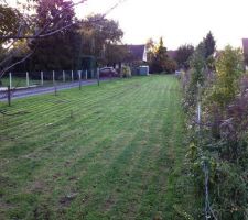 Notre terrain, la partie jungle &agrave; droite est &agrave; nous aussi