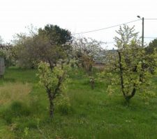 Le terrain avec les wc a l'ancienne dans le fond.