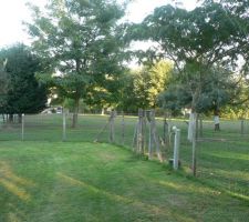 Depuis chez mes parents, le terrain commence au grillage que l'on voit face à la photo et va au bord de la route; sur la droit ça reste chez mes parents