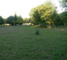 Depuis l'angle chez les voisins