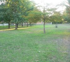 Vue depuis l'angle de la route