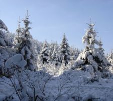 Hiver 2012 - Suisse