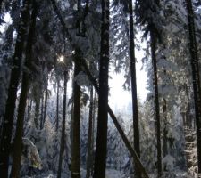 Hiver 2012 - Suisse