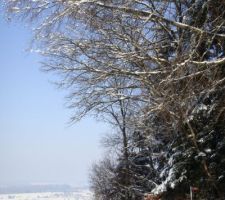 Hiver 2012 - Suisse