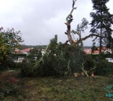C'est "presque" fini...