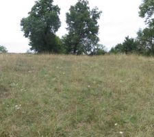 Vue du bas du terrain