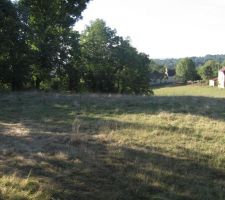 Haut du terrain, vue du chemin, &agrave; droite le bois de ch&ecirc;ne