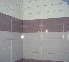 Avant de faire les joints (ce sera l'espace douche)