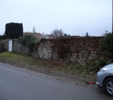 Voici la façade avant, notre terrain commence au poteau à droite et fini au bac à verre (qui sera déplacé !). L'ouverture sur 5 mètres commencera au poteau éléctrique.
Le lierre a été viré en grande partie.
On a réussi à trouver le "tronc mère", quelques coups de tronçonneuse pour le couper et perçage de la base pour y mettre de l'acide histoire que ça ne repousse pas ! Evidemment, le tout a été copieusement arrosé de désherbant !