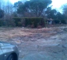 L'entr&eacute;e de notre terrain, qui commence par un chemin de 5m de large, de l&agrave; o&ugrave; est prise la photo jusqu'entre les sapinettes