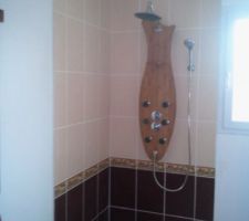 Pose de la colonne de douche fais par mes soins !!!