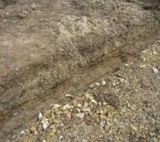 Fondations: Pose de la ferraille