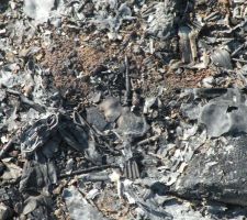 Toujours autant de vis et autres bouts de ferraille à proximité de la maison...Le tas grossit car chaque équipe en rajoute et y met le feu au lieu de ramasser.