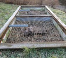 1er bac du Jardin d'assainissement (phyto épuration) après faucardage
