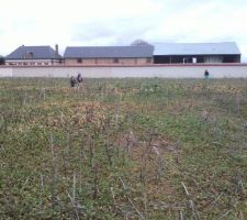 Terrain vu de la maison