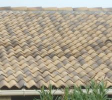 Voici les tuiles aprés une averse.Certaines sont poreuses et l'on constate sous les tuiles des tâches d'humidité, transpercées par la pluie.