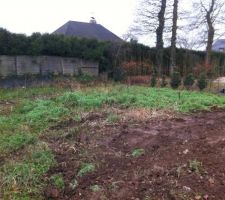 Remise en &eacute;tat du terrain