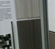 Choix faience sdb parentale, sans le listel pailleté