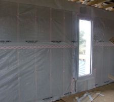 Pare vapeur et scotch mis