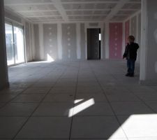 Carrelage pièces de vie