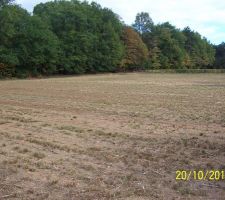 Emplacement futur maison