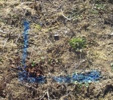 Implantation : un coin !