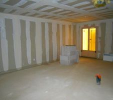 Futur salle &agrave; manger, il manque le mur derri&egrave;re la chemin&eacute;e et muret de la cuisine