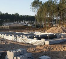 Pose de p'tites "couvertures" sur nos p'tits rangs de parpaings pour leur tenir bien chauds !!