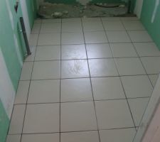 Carrelage de la salle de bain