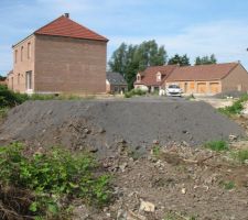 Vu de face de la bête (quasi 1m60 de haut)