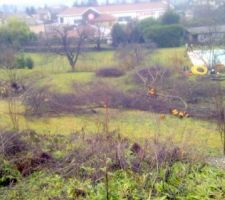 Après une séance d'abattage d'arbres...