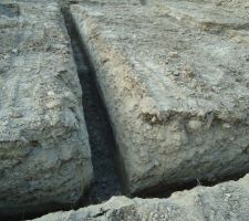 D&eacute;tail des fouilles