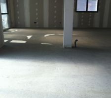 La chape s&egrave;che