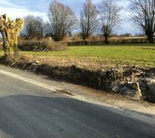 Voil&agrave; la haie est enlev&eacute; pas une masse &agrave; faire car la haie &eacute;tait plus vigoureuse que pr&eacute;vue encore une journ&eacute;e de travail et ca devrait &ecirc;tre bon !!
