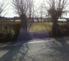 En vue de faciliter l?acc&egrave;s chantier nous devons enlever 2 charmes et une haie prot&eacute;g&eacute;e donc il a fallut faire une demande au pr&eacute;alable,mais ne pouvant pas attendre car le chantier devrait bient&ocirc;t commencer nous avons eu l'autorisation du maire de la commune.