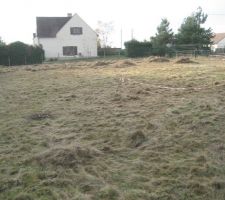 Débroussaillage terrain
