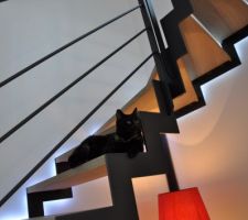 Le chat aime l'escalier