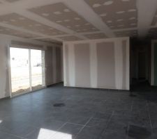 Vue du salon depuis l'entrée