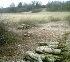 Apr&eacute;s avoir coup&eacute; noisetiers et chenes nous pouvons aper&ccedil;evoir le terrain .