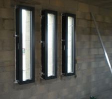 3 fenêtres bandeau pose verticale