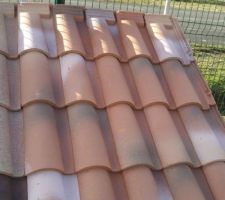 Les tuiles que nous avons choisies