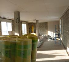 Plafond étage, toit terrasse plus intéressant que les toits traditionnel car pas de circulation d'air.