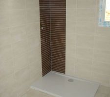 Salle de bain. Coin douche. Fa&iuml;ence Gala