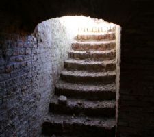Nettoyage escalier de cave