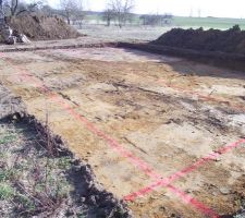 Re-implantation et mon gros tas de terre au fond